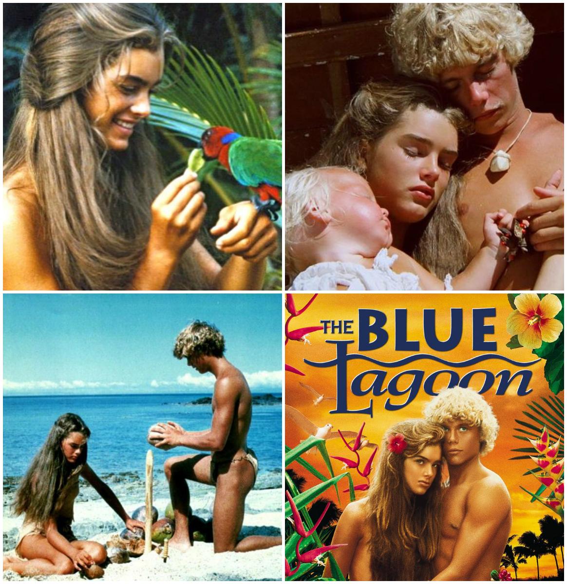 «Голубая лагуна», 1980