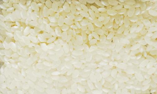 Круглозерный рис