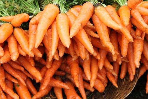 морковь против рака