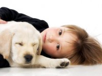 : Собаки для детей
