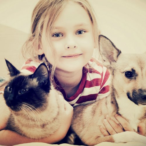 Девочка с кошкой и собакой