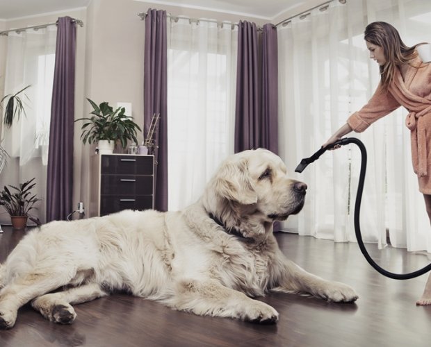 женщина пылесосит в комнате с собакой