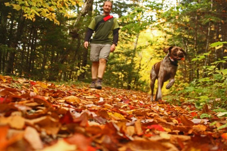 Осенний поход мужчина с собакой