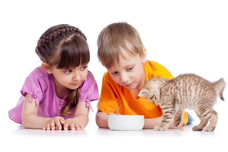 дети кормят котенка