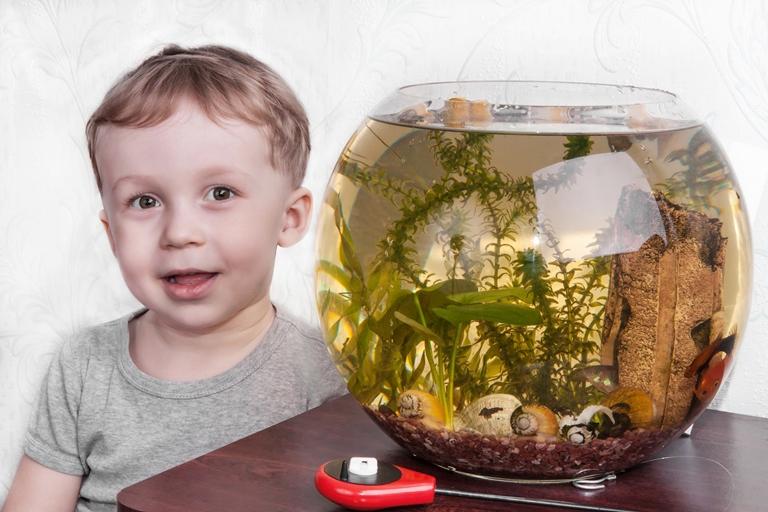 мальчик возле аквариума