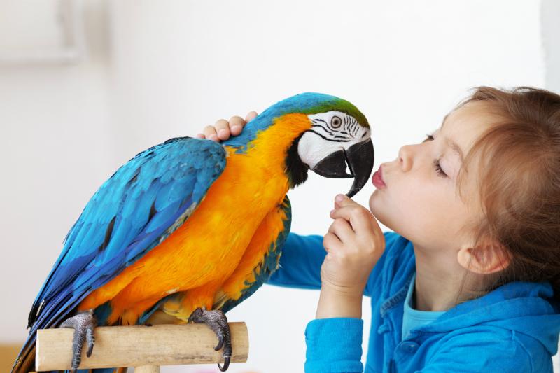 Девочка с попугаем