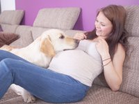 : Животные и беременность