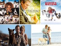 : Лучшие фильмы про собак