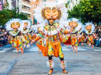 http://ru.depositphotos.com/Fosters: карнавал в Испании