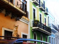 blog.smwimages.com: коты в пуэрто-рико