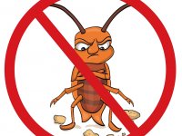 ru.depositphotos.com/BarrHope: Избавляемся от тараканов
