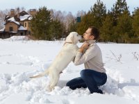 ru.depositphotos.com/bakharev: Обучение щенка