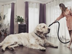 : женщина пылесосит в комнате с собакой