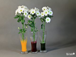 Как покрасить цветы