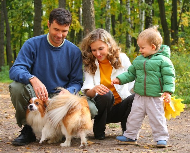 Семья с собакой в лесу осенью