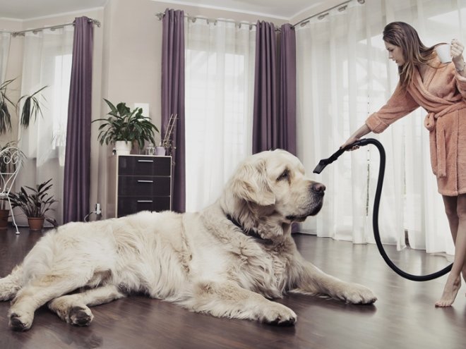 женщина пылесосит в комнате с собакой